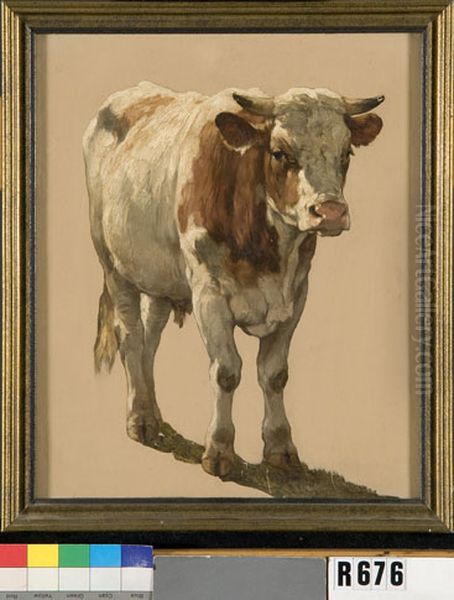 Studie van een jonge stier Oil Painting by Johannes-Hubertus-Leonardus de Haas