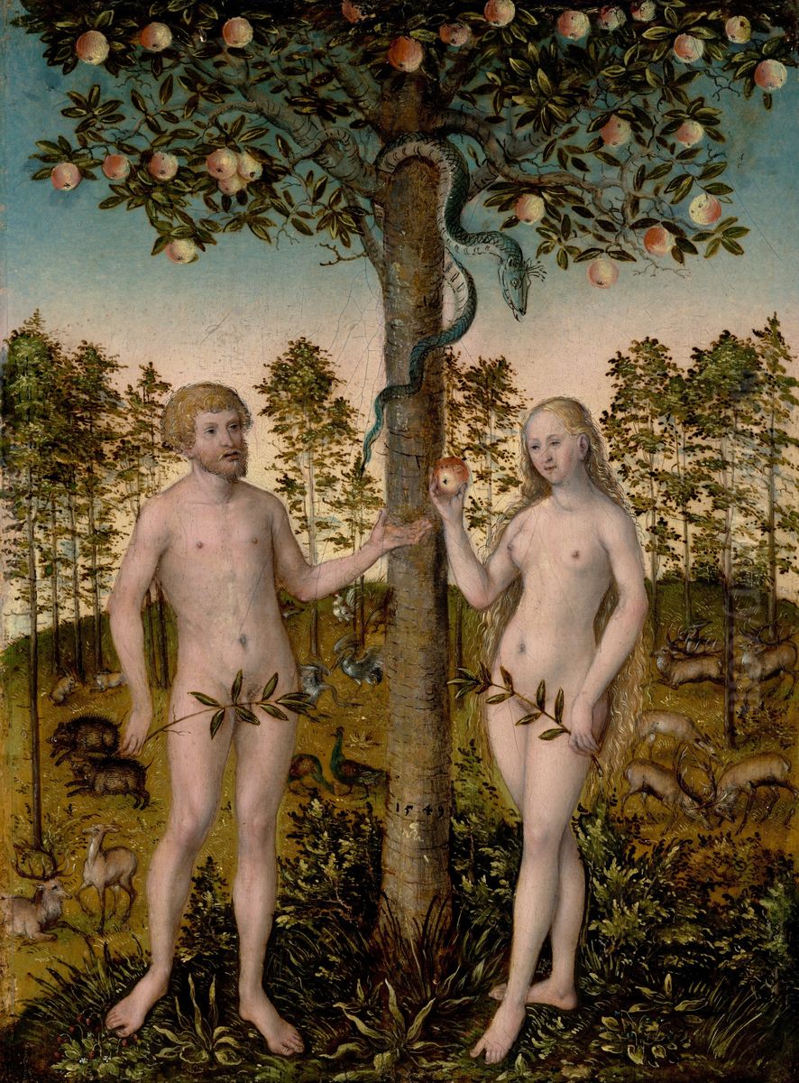 The Fall of Man Oil Painting by Lucas The Younger Cranach