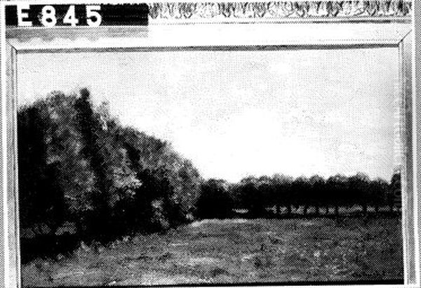 Een weide met bomen Oil Painting by Geo Poggenbeek