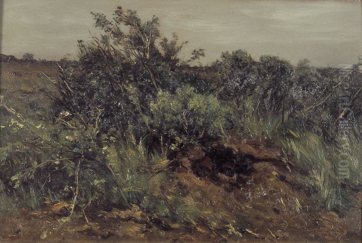 Struiken in weide Oil Painting by Johannes-Hubertus-Leonardus de Haas