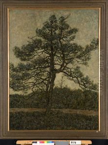 Denneboom