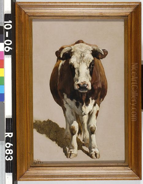 Studie van een stier Oil Painting by Johannes-Hubertus-Leonardus de Haas