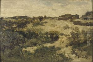 Duinlandschap