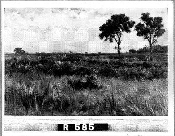 Landschap Oil Painting by Johannes-Hubertus-Leonardus de Haas