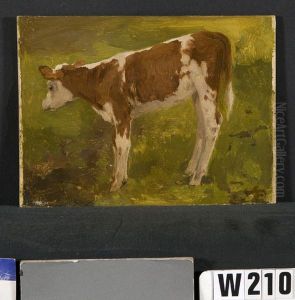 Rood bont kalfje
