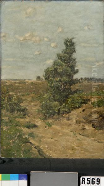 Boompje in weide Oil Painting by Johannes-Hubertus-Leonardus de Haas