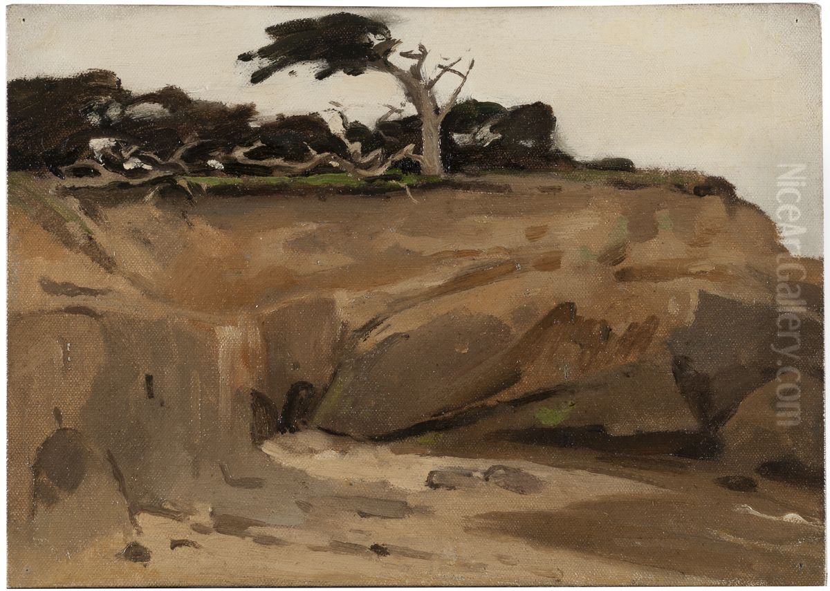 Zanderij bij Monterey Californie Oil Painting by Willem Witsen