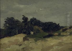 Dune landscape with a goat
