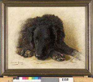 Een zwarte hond