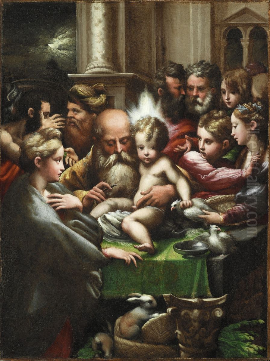 The Circumcision Oil Painting by Parmigianino