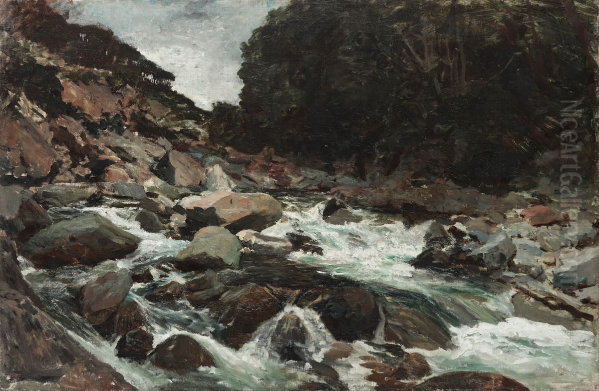Mountain Stream, Otira Gorge Oil Painting by Petrus van der Velden