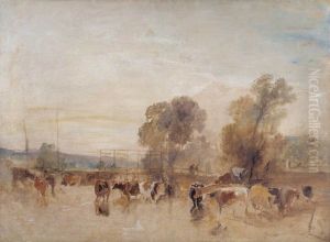 Weir and Cattle