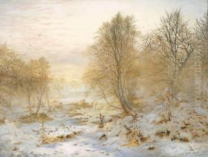 Silvery Moments, Burnham Beeches