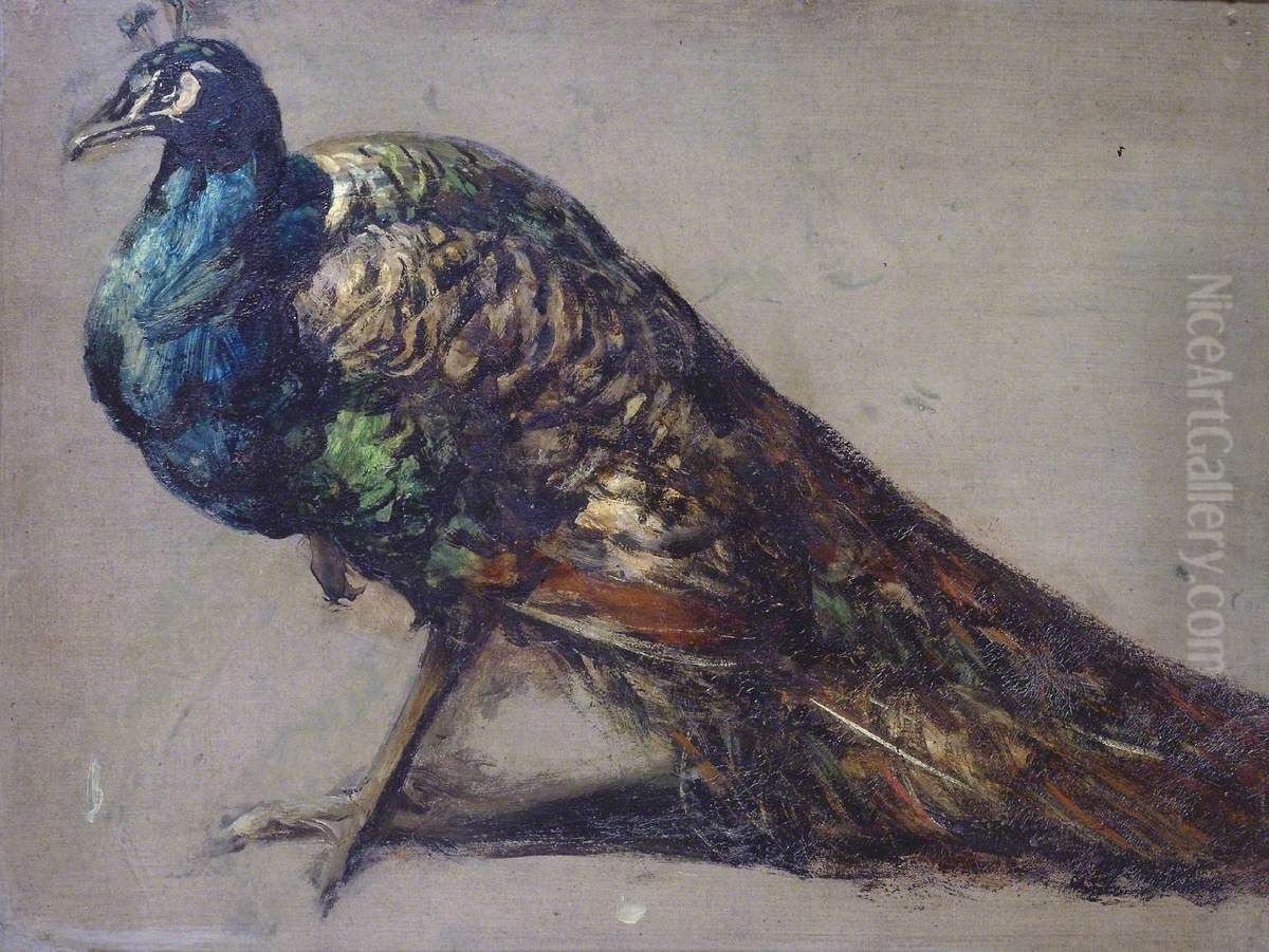 Study of a Peacock for 'The Judgement of Paris' Oil Painting by William Etty