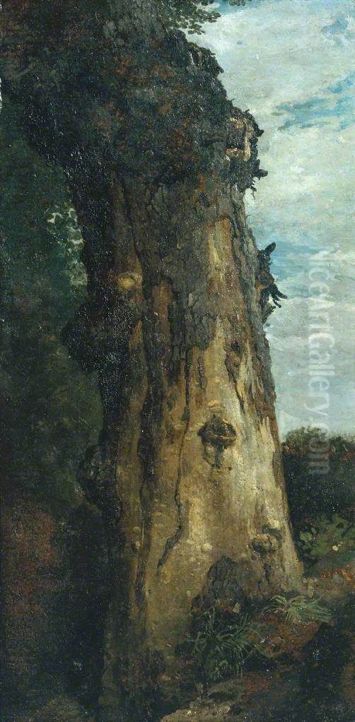 Study of a Tree ('Study from Nature') Oil Painting by John Linnell