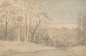 A Woody Landscape A Woody Landscape