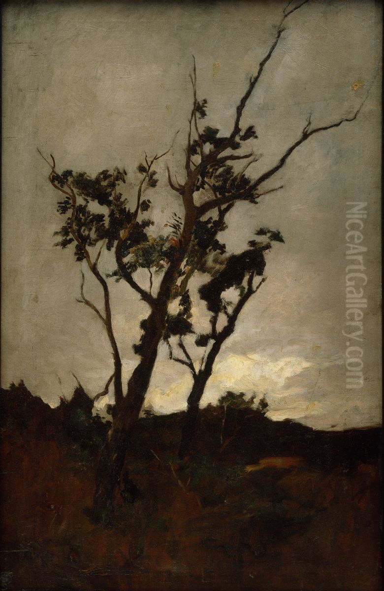 Tree study Oil Painting by Petrus van der Velden