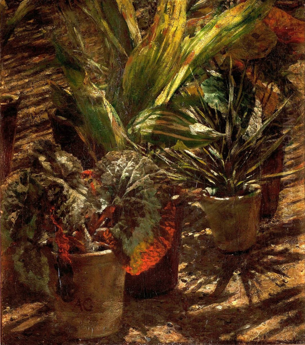 Begonias. Oil Painting by Aleksander Gierymski
