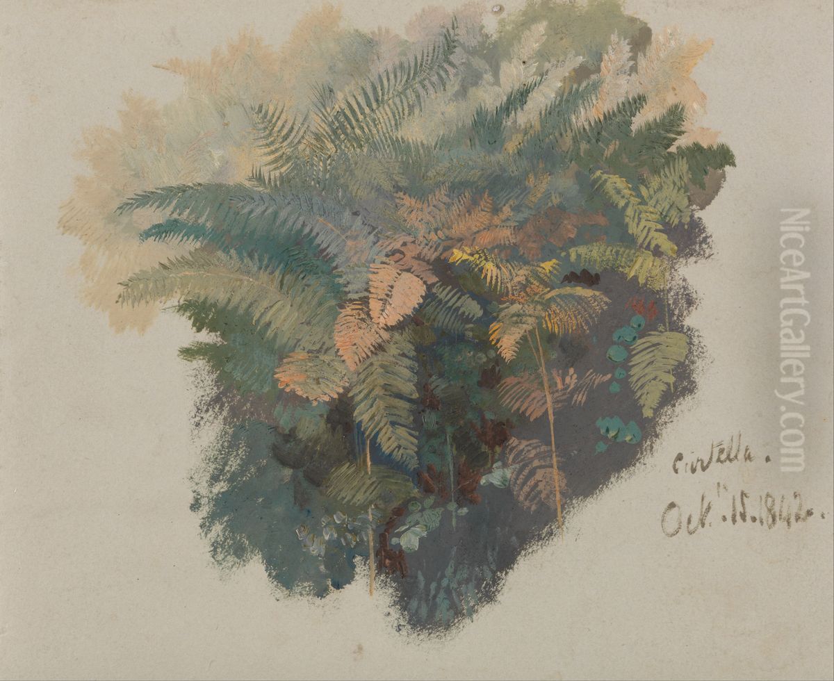 A Study of Ferns, Civitella Oil Painting by Edward Lear