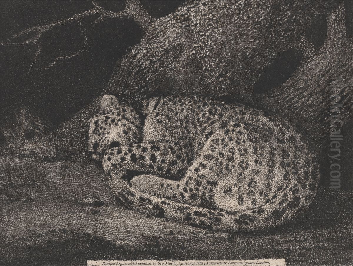 A Sleeping Leopard Oil Painting by George Stubbs
