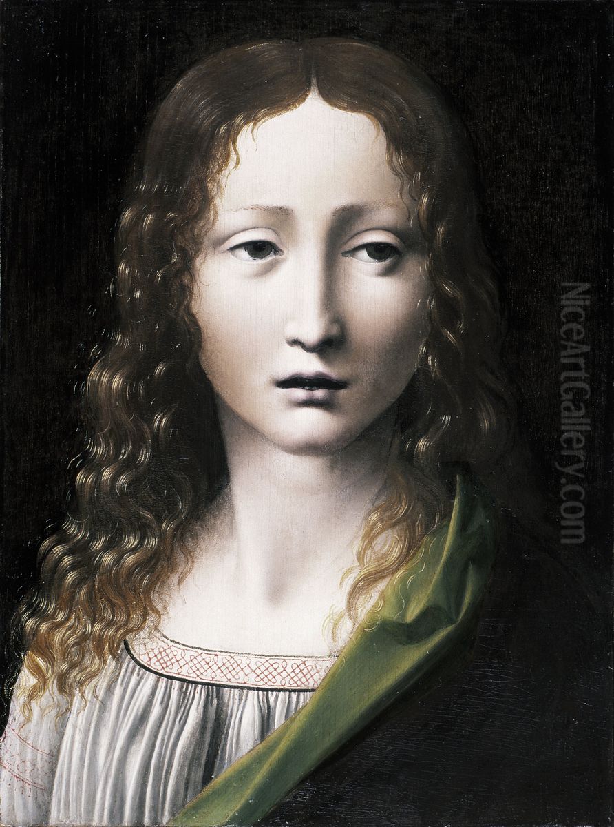 El Salvador adolescente Oil Painting by Giovanni Antonio Boltraffio