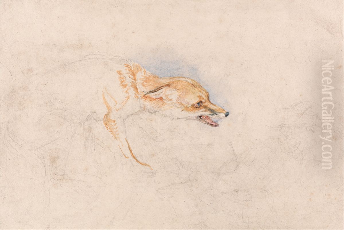 Study of a Crouching Fox, Facing Right Oil Painting by John Frederick Lewis