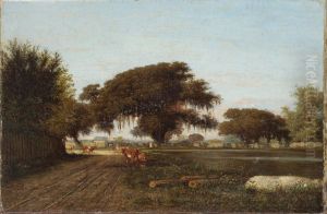 Farm in St Tammany