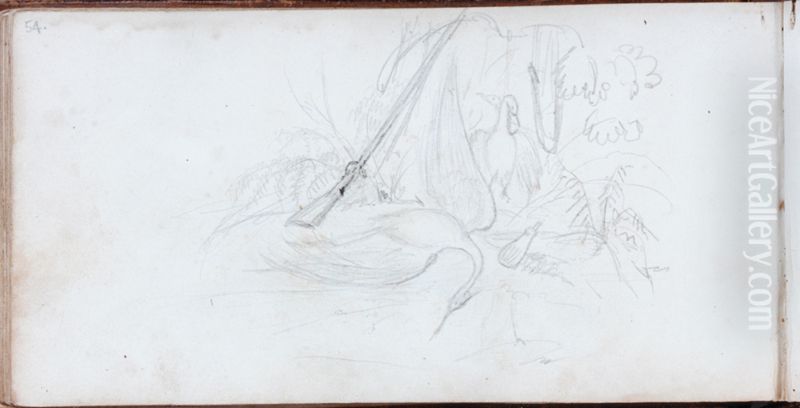 [Bush scene with birds, musket and gunpowder flask] Oil Painting by Charles Heaphy