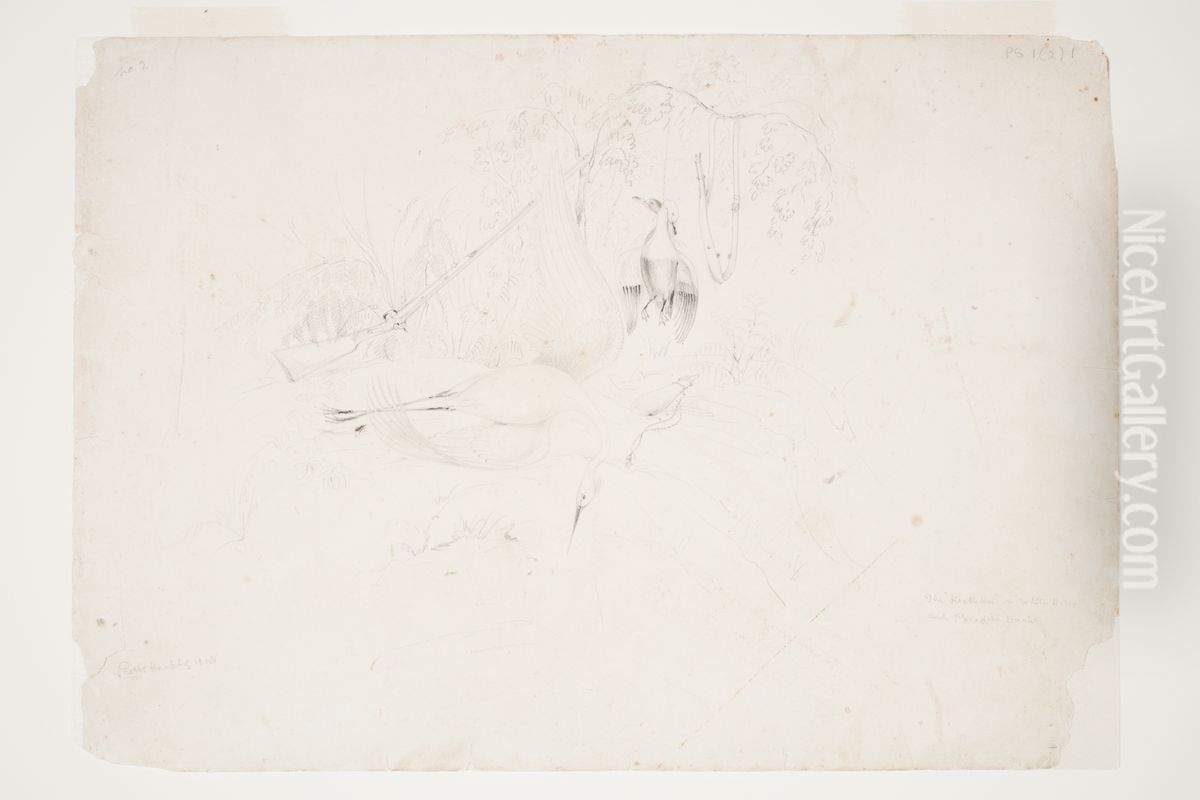 The 'Koetuku' or White Heron and Paradise Duck Oil Painting by Charles Heaphy