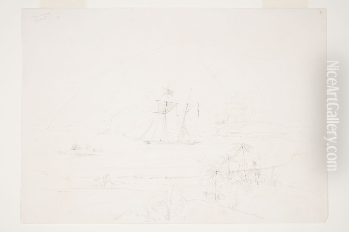 Flatfish Cove Q.C. [Queen Charlotte] Sound Oil Painting by Charles Heaphy