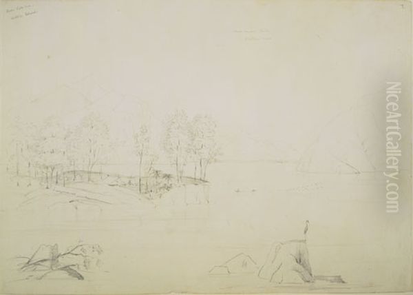 Lake Rotorua, Middle Island Oil Painting by Charles Heaphy