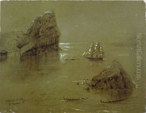 Wellington Head Gt Barrier Id