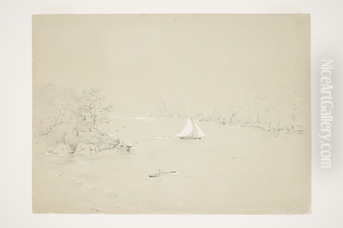 Wangaaihu Wangaroa Coast Oil Painting by Charles Heaphy