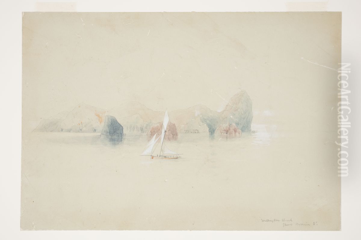 Wellington Head, Great Barrier Id. Oil Painting by Charles Heaphy