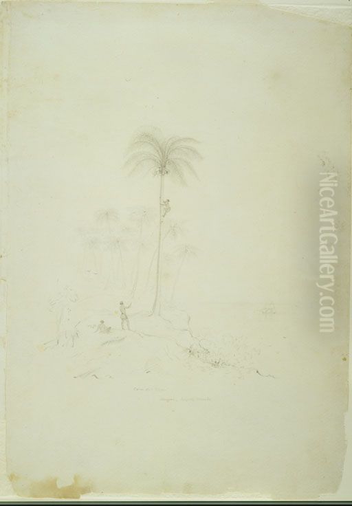 Cocoa Nut Trees. Nuigone, Loyalty Islands Oil Painting by Charles Heaphy