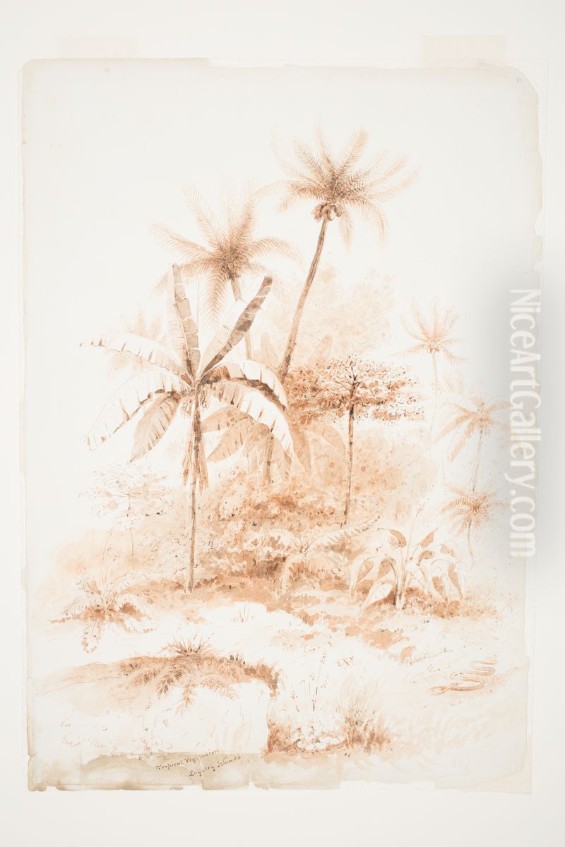 Tropical Vegetation, Loyalty Islands Oil Painting by Charles Heaphy