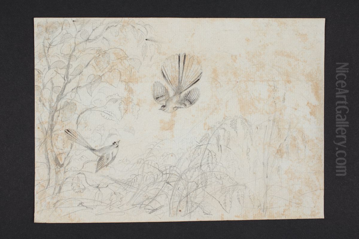 Untitled. [Piwakawaka] Oil Painting by Charles Heaphy