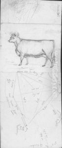 [Cow]