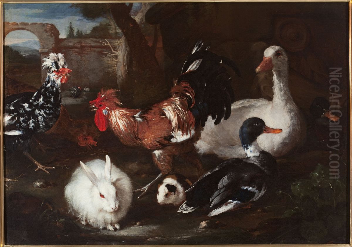 Domestic fowls Oil Painting by Jacomo Victors