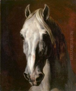 Head of a grey horse