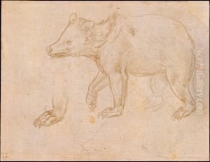 A Bear Walking
