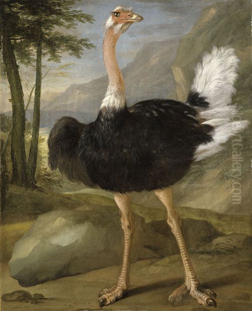 Study of an ostrich Oil Painting by Nicasius Bernaerts