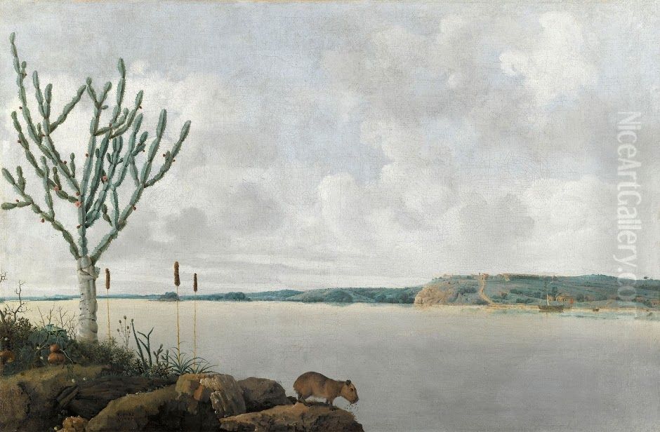 Der Rio San Francisco Oil Painting by Frans Post