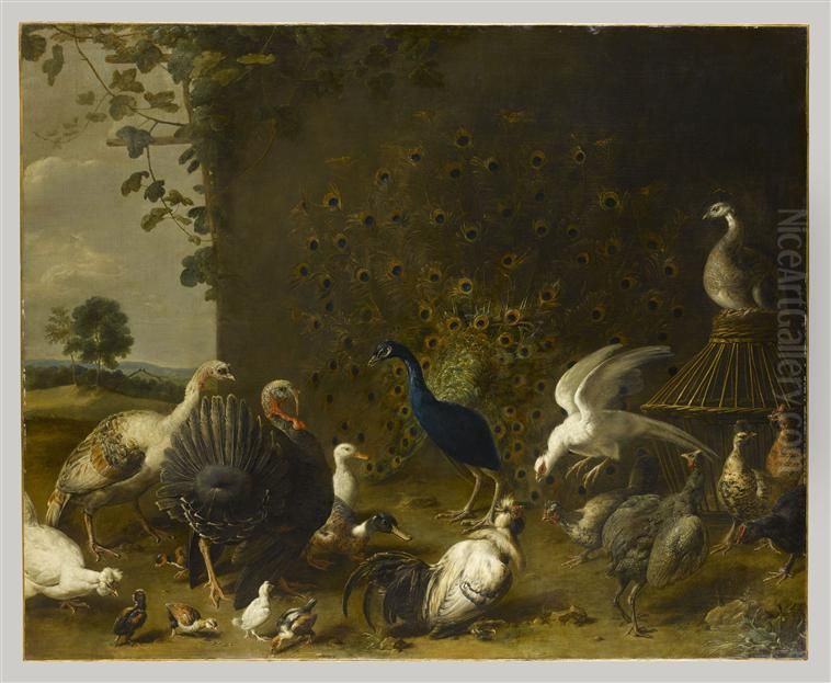 Paon et oiseaux de basse-cour Oil Painting by Adriaen van Utrecht