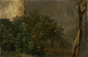Etude de plantes