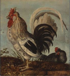 Een haantje Een haantje