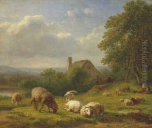 Heuvelachtig landschap
