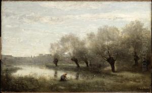 Saulaie a la pointe d'un marais.