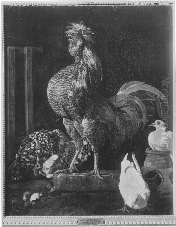 Hahn, Henne und Tauben Oil Painting by Jacomo Victors