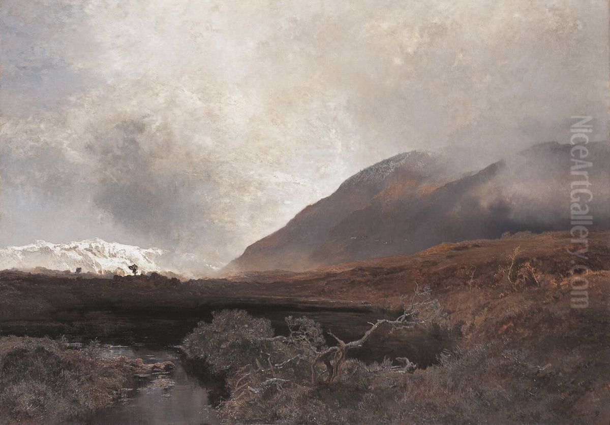 Hochmoor in Oberbayern Oil Painting by Joseph Wenglein